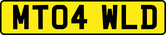 MT04WLD