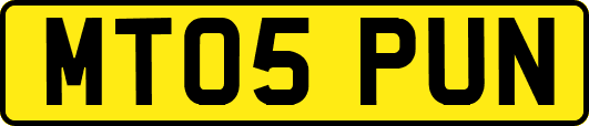 MT05PUN