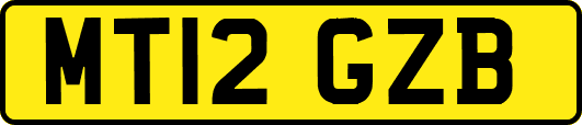 MT12GZB