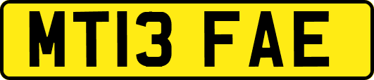 MT13FAE