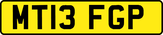 MT13FGP
