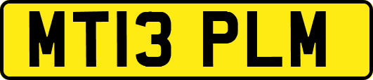 MT13PLM