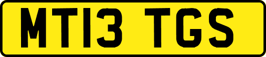 MT13TGS