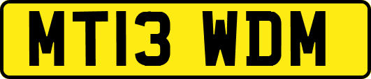 MT13WDM