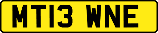 MT13WNE