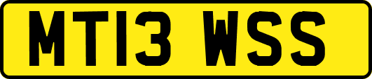 MT13WSS