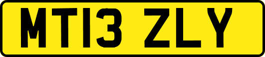 MT13ZLY