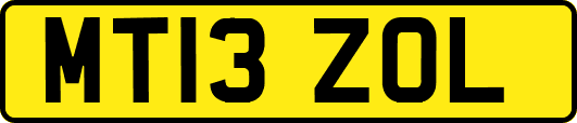 MT13ZOL