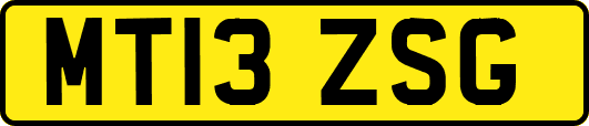 MT13ZSG