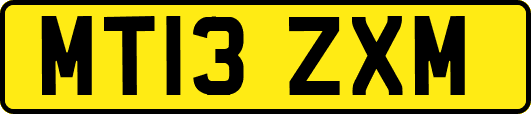 MT13ZXM