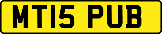MT15PUB