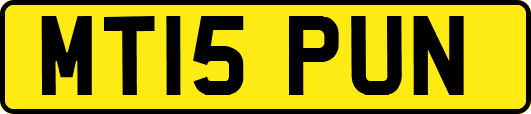 MT15PUN