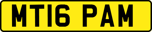 MT16PAM