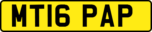 MT16PAP