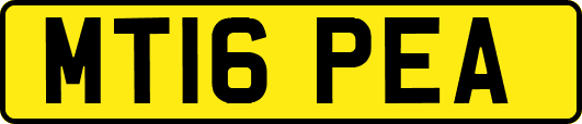 MT16PEA