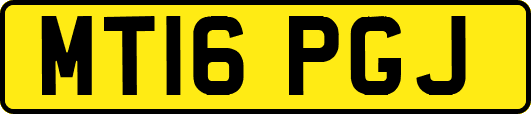MT16PGJ