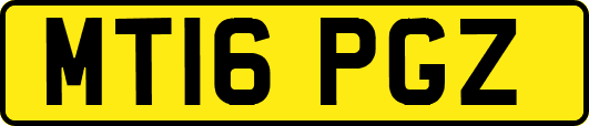 MT16PGZ