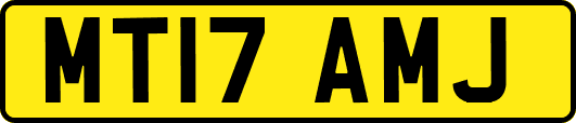MT17AMJ