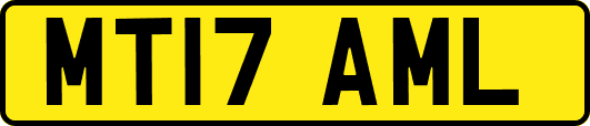 MT17AML