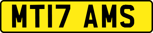 MT17AMS