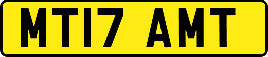 MT17AMT