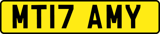 MT17AMY