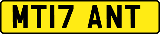 MT17ANT