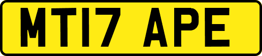 MT17APE