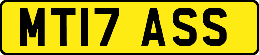 MT17ASS