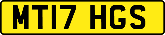MT17HGS