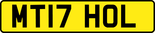 MT17HOL