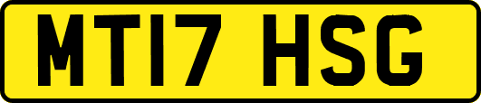 MT17HSG