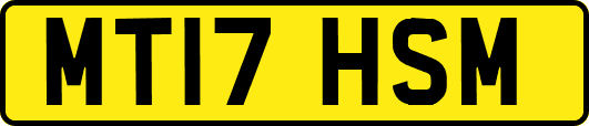 MT17HSM