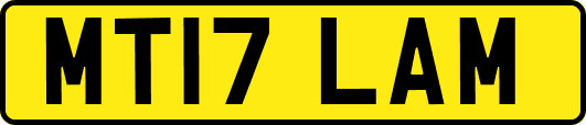 MT17LAM