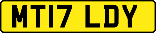 MT17LDY