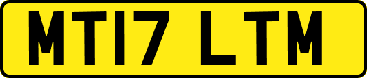MT17LTM
