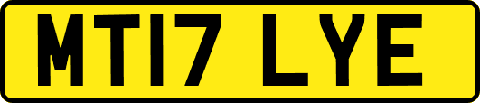 MT17LYE