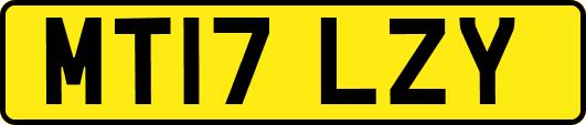 MT17LZY