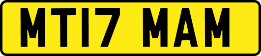 MT17MAM
