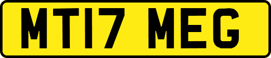 MT17MEG
