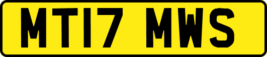 MT17MWS