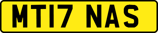 MT17NAS