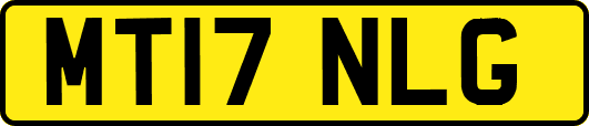 MT17NLG