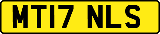 MT17NLS