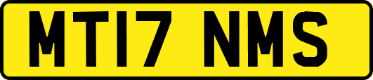 MT17NMS