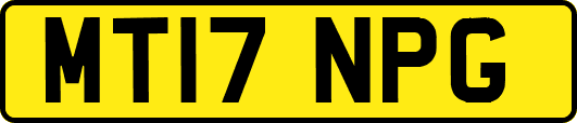 MT17NPG