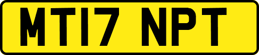 MT17NPT