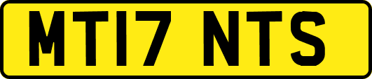 MT17NTS
