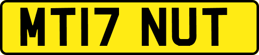 MT17NUT