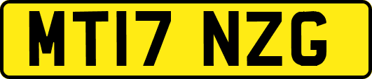 MT17NZG
